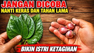 TERNYATA INI KHASIATNYA ‼️ Daun Sirih Campur Bawang Merah, bikin kaget 