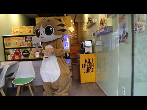 JHKTV] 신촌 명물고양이 폼생폼사에 산다shin chon special <strong>cat</strong> I <strong>live</strong> in Pomsaeng Pomsa.