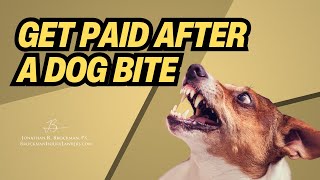 What Types of Compensation Can I Claim After a Dog Bite in Georgia