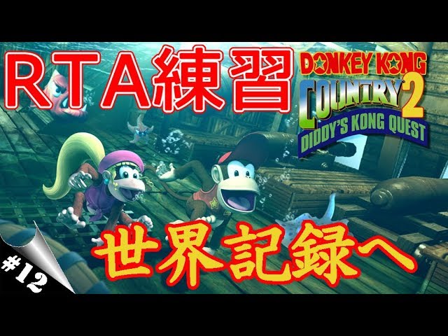 【スーパードンキーコング2】何でもありRTA！世界記録へ練習！#12【DKC2】