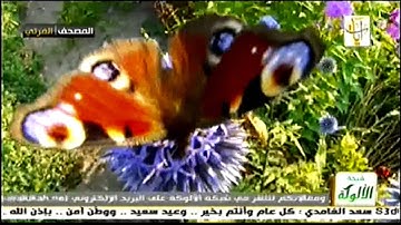 ماتيسر من سورة النور والمؤمنون بصوت الشيخ ياسر الدوسري المصحف المرئي