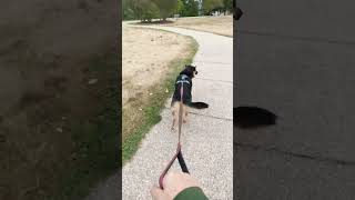 Cooper Scratches An Itch And Then Looks At The Airport