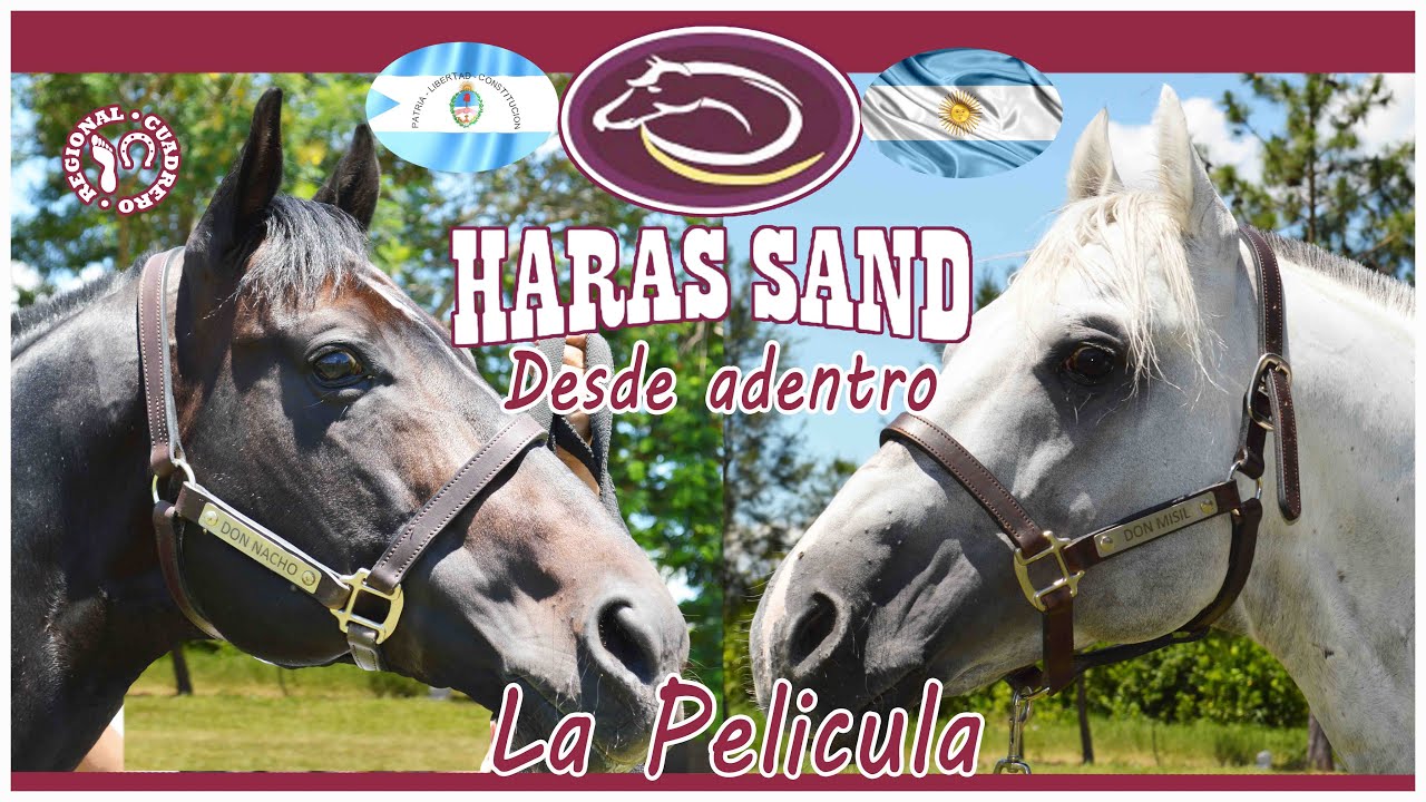 HARAS SAND- Desde adentro- La Película