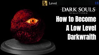 How to Become a Low Level Darkwraith in Dark Souls Remastered