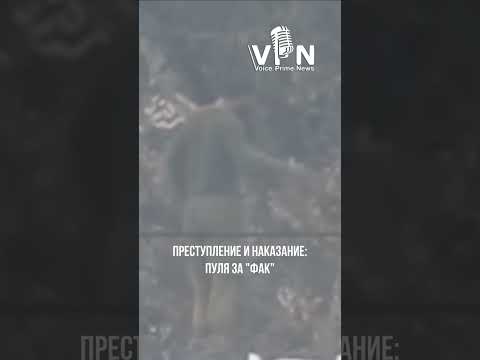 Снайпер ВС РФ наказал бойца ВСУ за фак