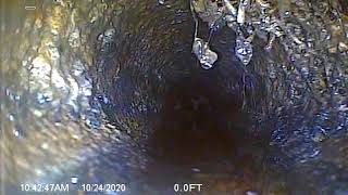 Princeton St Fircest Wa 98466