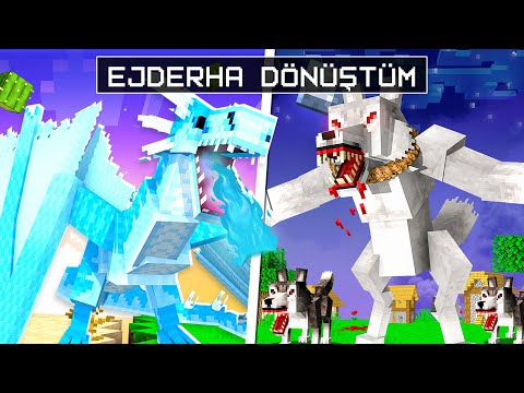 EJDERHA OLARAK Minecraft OYNADIM