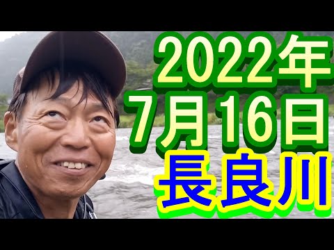 鮎釣り 25cm高 西河橋下 杉ケ瀬やな下 名皿部橋上 長良川 2022年