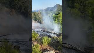 Datçada Yangın Müdahale Başladı