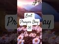 🌿 Lent Prayer – Day 16 | A Prayer for Guidance & Peace 🙏 #shortvideo #shorts #prayer #lent #peace