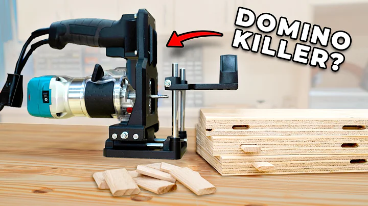 I Bought a $70 "Domino"