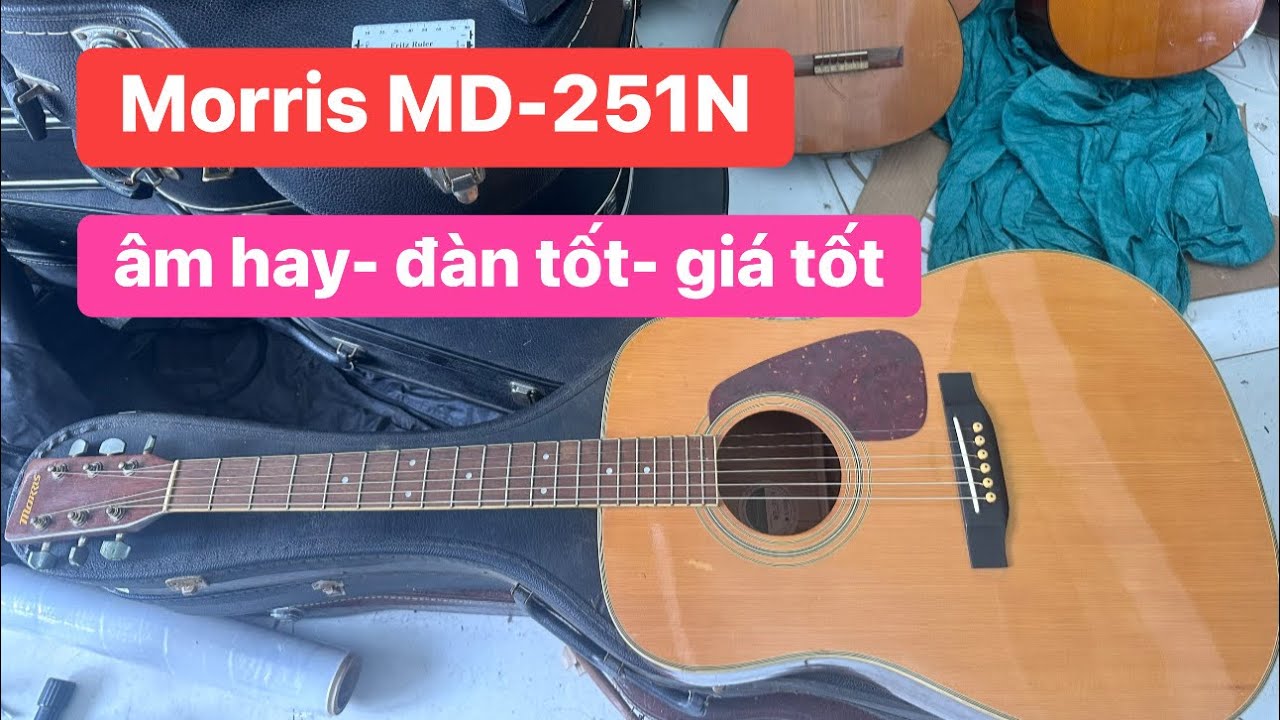 MORRIS モーリス アコースティックギター MD-251N MORRIS M-80 II