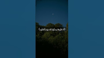 #القارئ_سليمان_عبدالله_النفيسه🪴