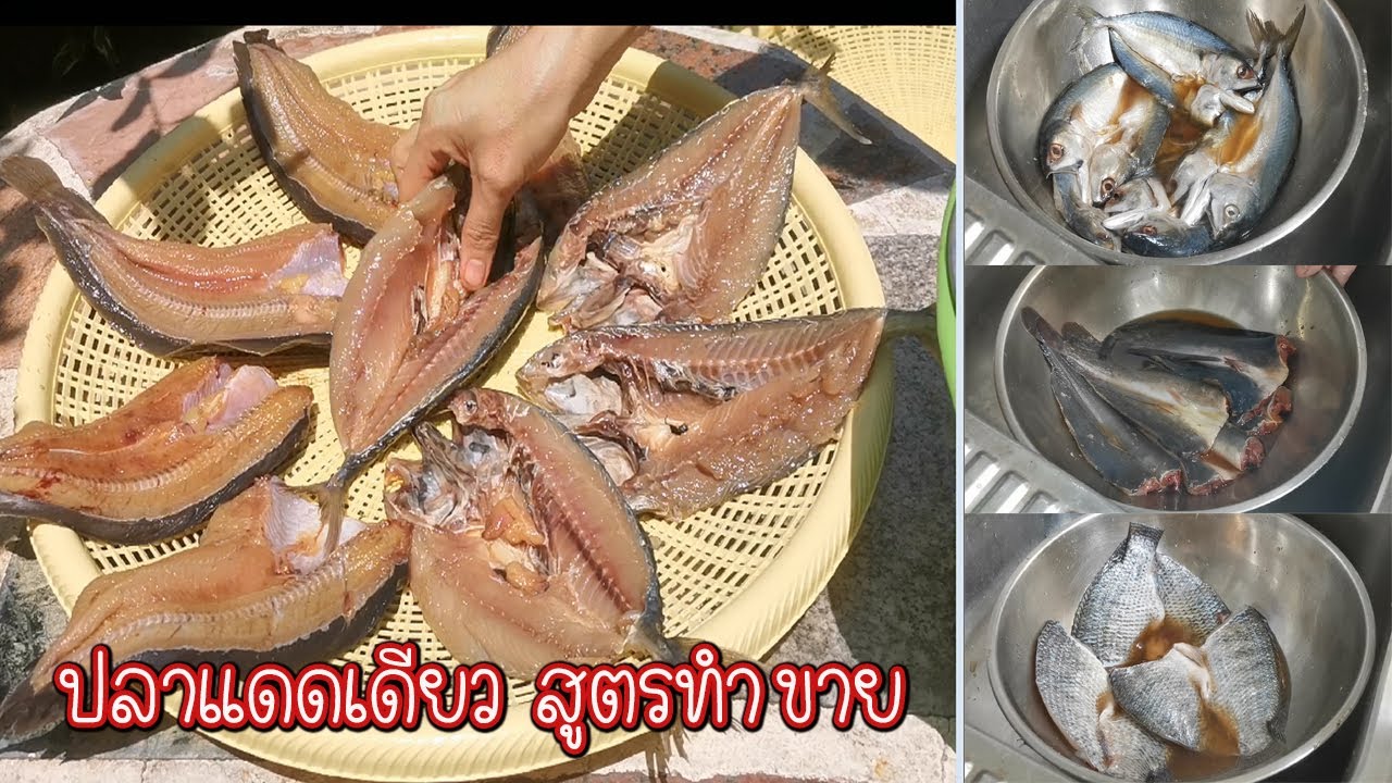 วิธีทำปลาแดดเดียว สูตรน้ำหมักทำขาย บอกละเอียดทุกขั้นตอน ปลา 3 ชนิด Asia Food Secrets