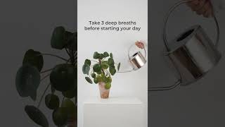 Small habits create peaceful days 🌿✨ #wellness #mindfulliving #selfcare