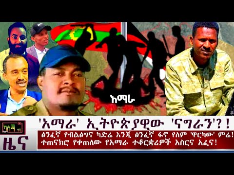 ቪዲዮ: የእንስሳት በደመ ነፍስ ወይስ እንዴት በጥቁር አርብ ተዘርፈናል?