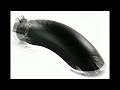 Wesdon Turndowns Exhaust Tips video