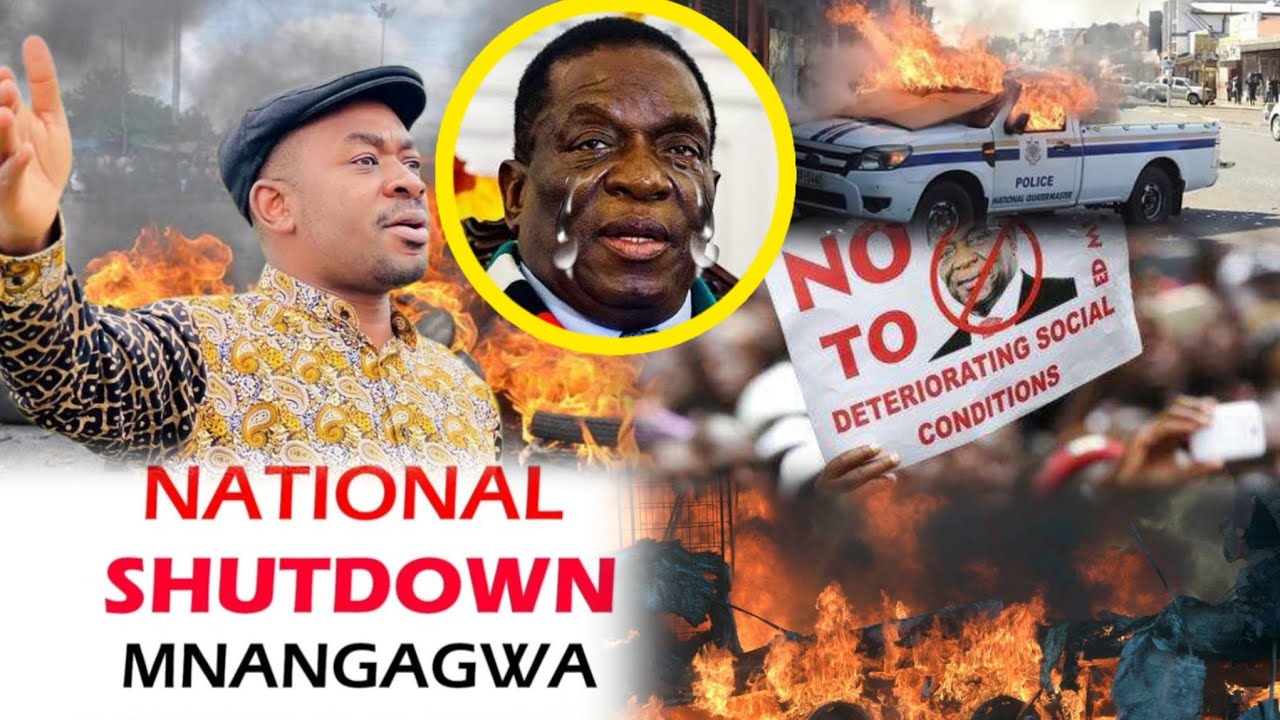 Chamisa Speaks On March 31 National Shut-Down plotted by Cde Geza to
