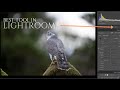 Is THIS the best Lightroom update? // A little tip for Topaz Denoise