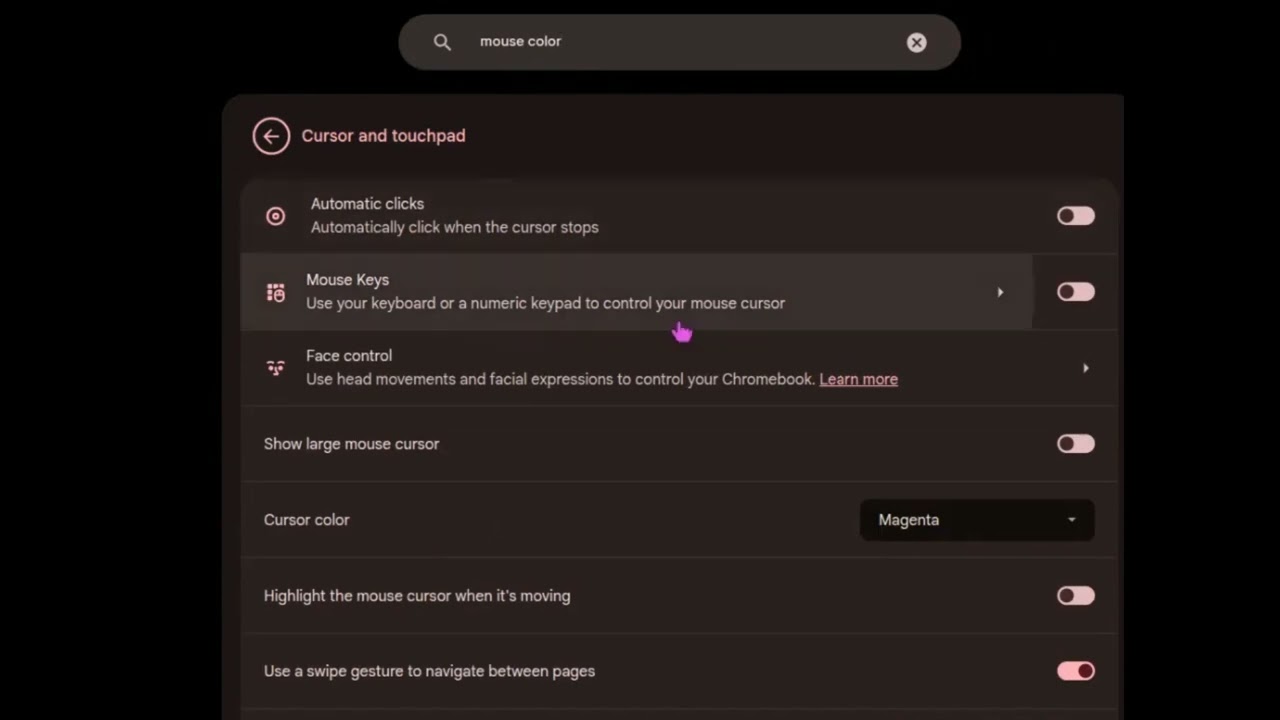 How to change your mouse color on a Google computer 💻