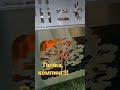 Первый запуск печки! Видео от покупателя, Денис г. Днепр!