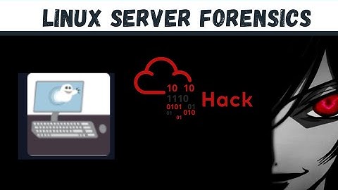 TryHackMe ] Linux Server Forensics   | Walkthrough Video