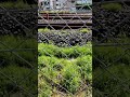 旅路