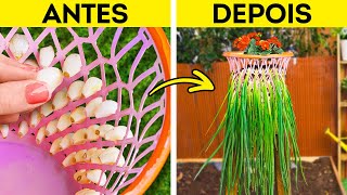 Como cultivar seus próprios alimentos frescos em casa 🌱🏡 Truques geniais de jardinagem!