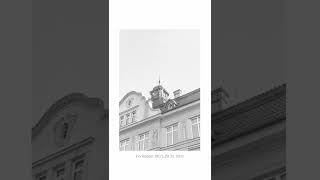 Scanning Film Negatives Canon Eos 3000