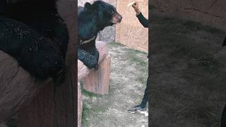 Go Watch   Link                         Httpsyoutubeoyaed 2hobksiihtq5etocecblrc