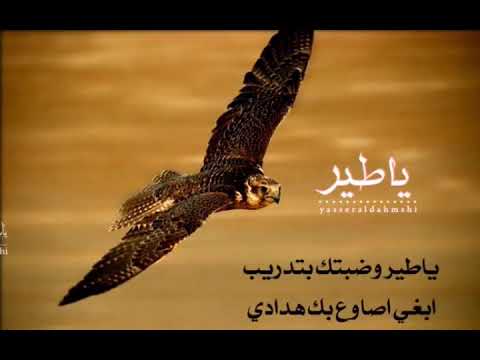 ياطير وضبتك بتدريب ابغي اصاوع بك هدادي