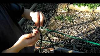How_To_Make_A_Cold_Frame.mp4