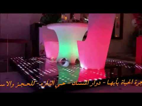 تجهيز حفلات خاصه شاليهات شجرة الحياه أبها 0505798484 Youtube