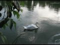 ERNESTO CORTAZAR -  No one like you