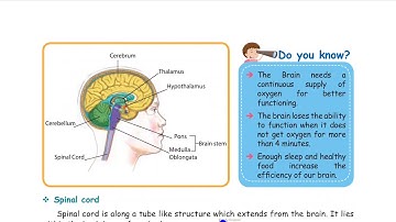 science 5 std Lesson 1 Organ Systems part 3 English Tamil