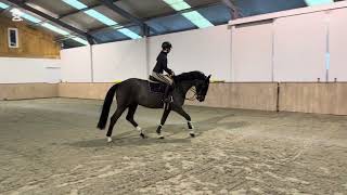 Covington (Chubakko) Flatwork 