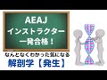 AEAJインストラクター合格への道「解剖学その１　身体の発生」
