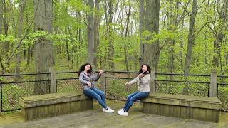 Pachelbel - Canon In D Major - Twin Violins