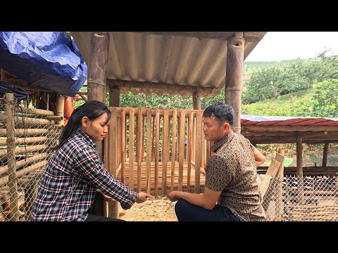 I Just Wanted To Help And Missed The Moment Of Meeting My Daughter Ly Vy Ca