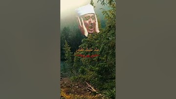 سورة القمر - عبدالباسط عبد الصمد (إِنَّ الْمُتَّقِينَ فِي جَنَّاتٍ وَنَهَرٍ * فِي مَقْعَدِ صِدْقٍ