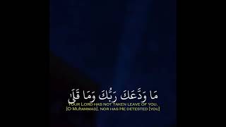 وَلَسَوۡفَ يُعۡطِيكَ رَبُّكَ فَتَرۡضَىٰٓ | إسلام صبحي | حالات واتس اب دينية