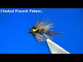 Tying a cloaked peacock palmer  with davie mcphail