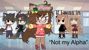 If I was in “Not my Alpha” Gacha life skit