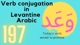 Conjugating the verb to promise on all tenses in Levantine Arabic |No 197 وعد