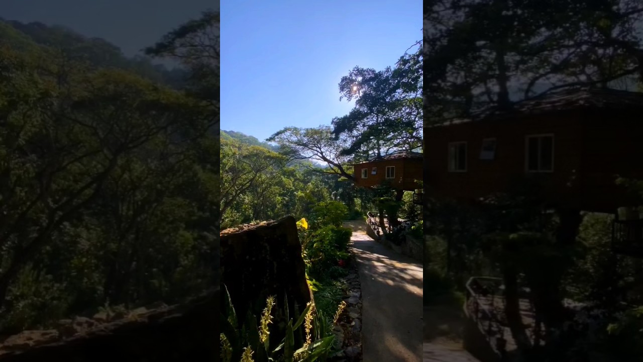 මේක යන්නම ඕනි ලස්සන තැනක්....😍💚🍃| Tree nature resort badulla.