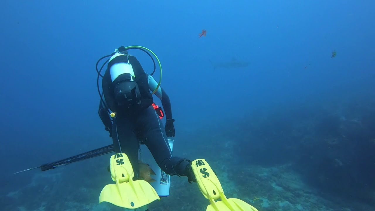 Divocean - Center Street & Scarface