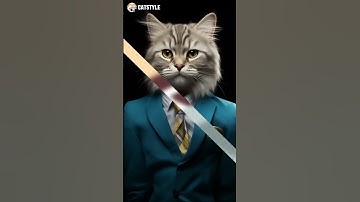 Thumbnail of when your cat shapeshift
