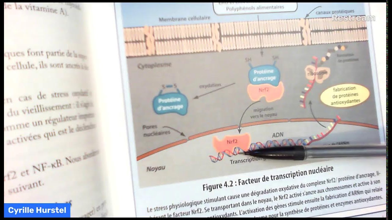 Jour 50 :  Les flavonoïdes, qu'est-ce donc ?