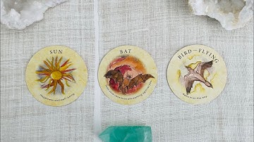 "What You Need to Know Right Now" *Pick a Card* (Timeless Tarot)