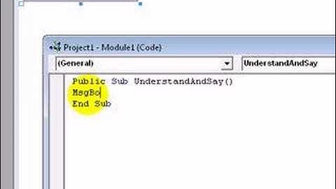 How To Add/Use A Module in Visual Basic 6.0